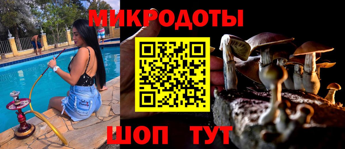 Севастополь  Псилоцибиновые грибы прущие грибы  продажа наркотиков  Псилоцибиновые грибы Magic Shrooms  Вход с VPN 